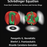 Review of The Defocusing Nonlinear Schrödinger Equation