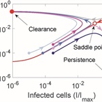 A Dynamical Systems View of the Outcomes of Viral Infections