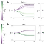 Nonlinear Dynamics of Beliefs and Decisions in Social Systems
