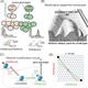 Epigenetic Memory: Binary or Analog?