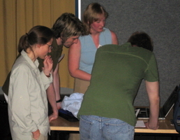 Clare Lee (Bristol, background left) demonstrates singularities in high-dimensional Poincaré maps; photograph by Hinke Osinga