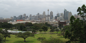 View of Sydney from Martin Wechselberger's office